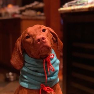 Meet your Posher, Catherina